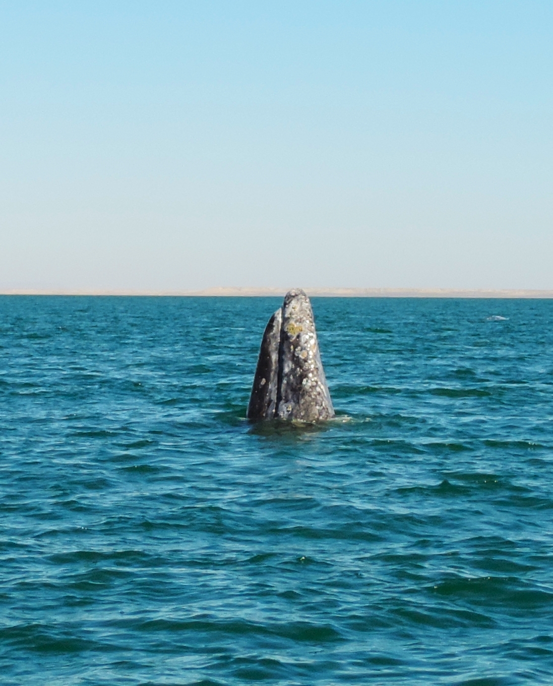DSCN7899.JPG