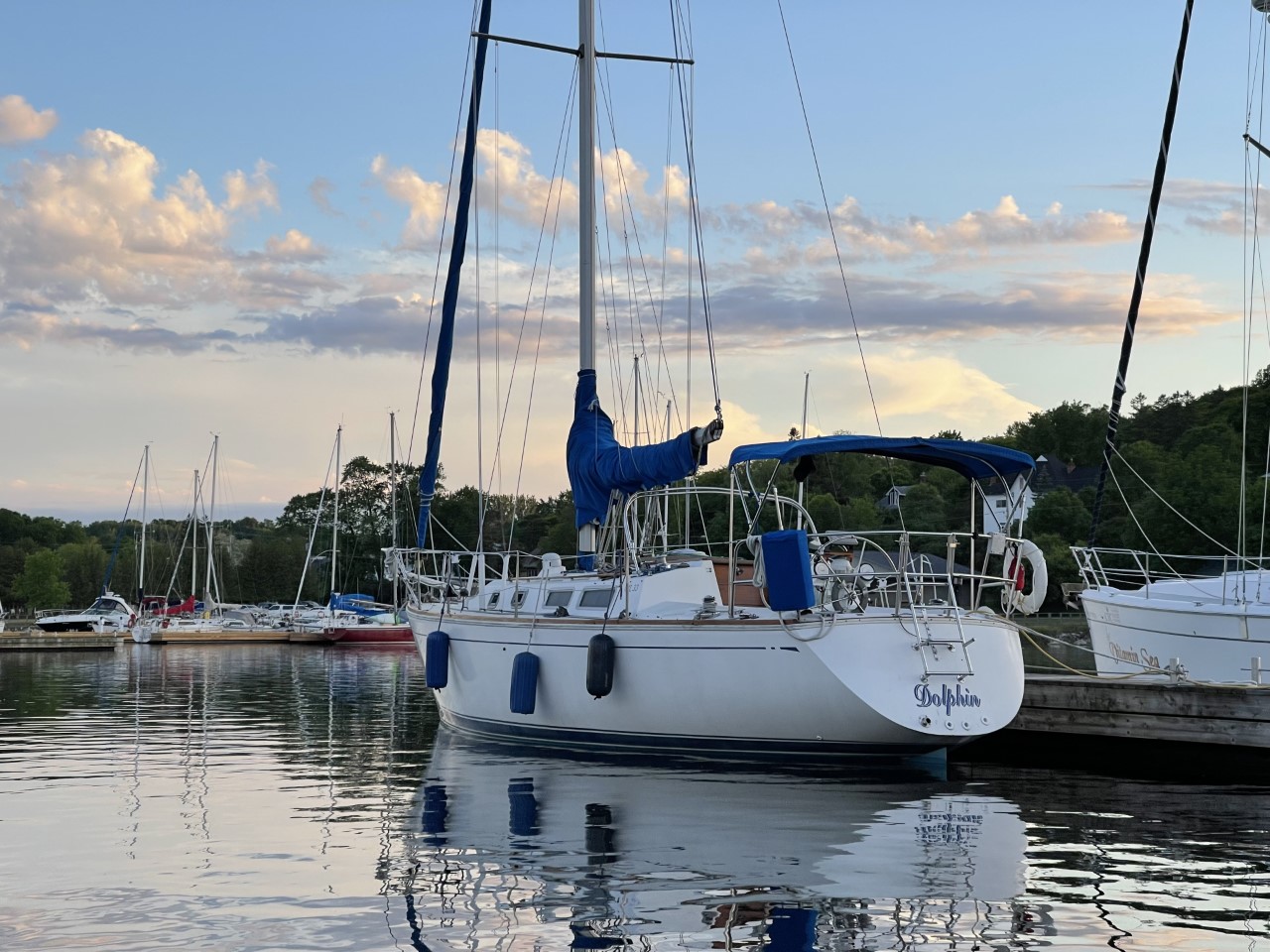 Dolphin at Gore Bay.jpg
