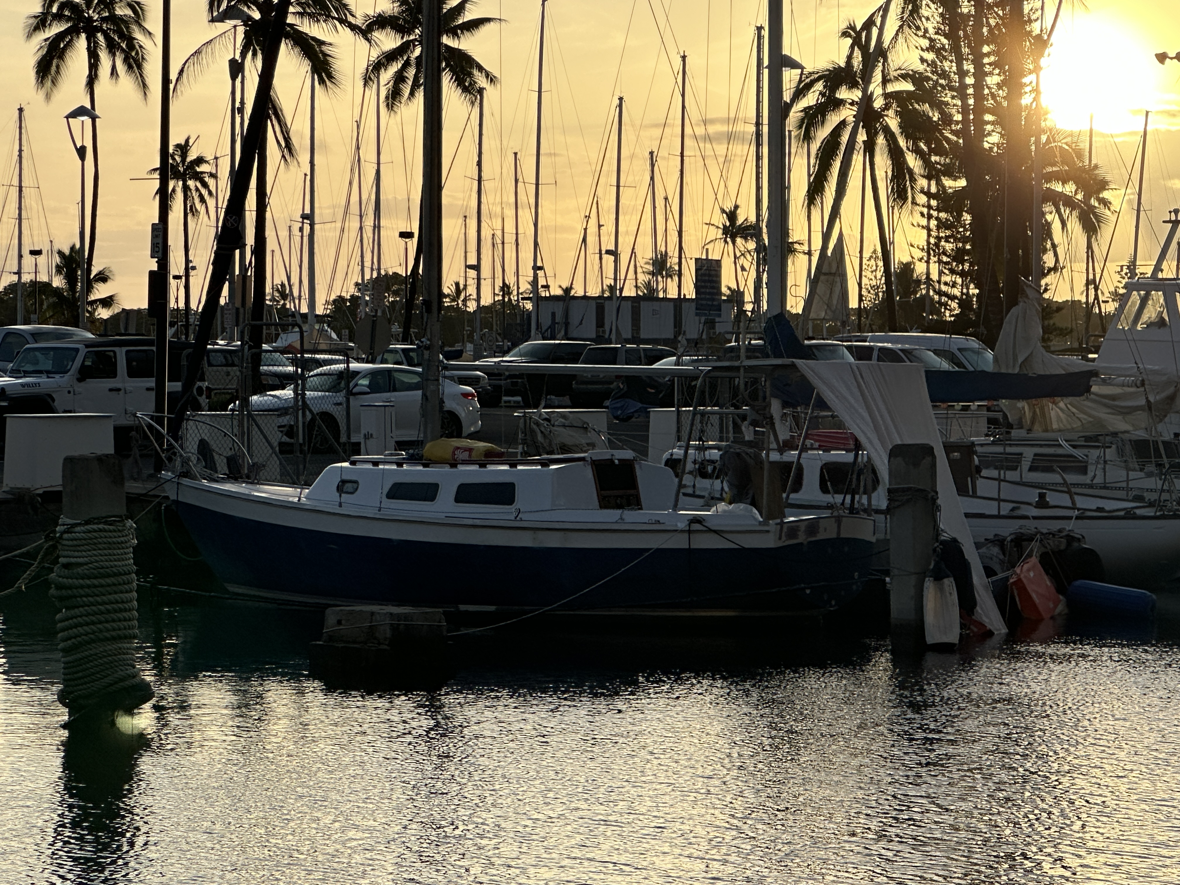 IMG_3982.jpeg