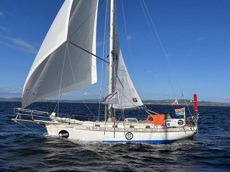 yysw399813.jpg