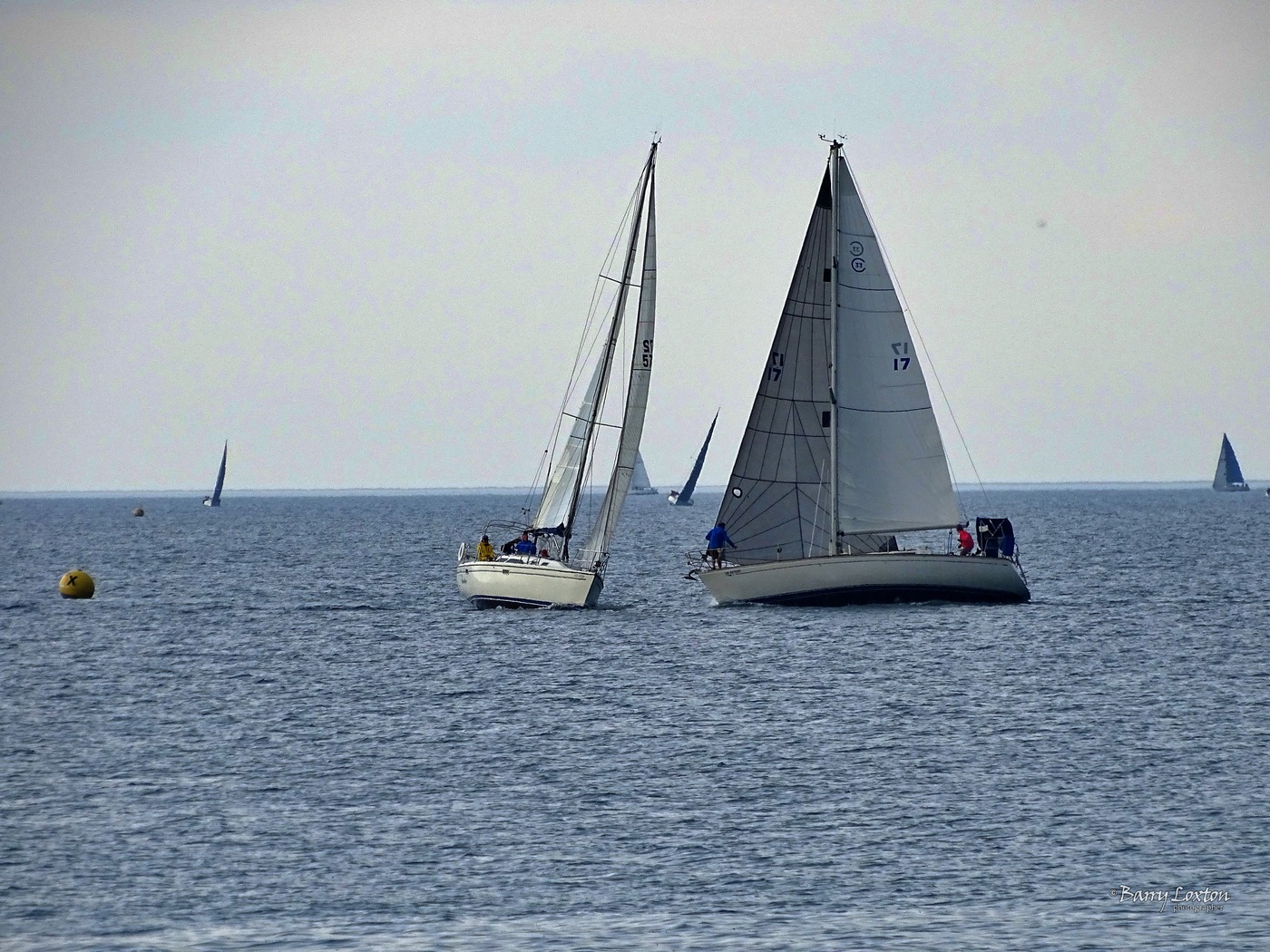July 10 Summer Sires - Race 2 - Dolphin Ducking Silver Lining.jpg