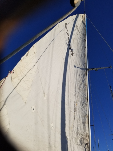 20210130_161225.jpg