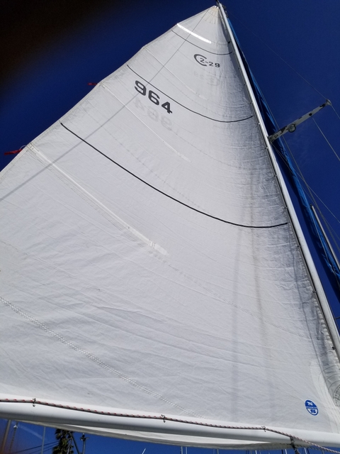 20210606_153846.jpg