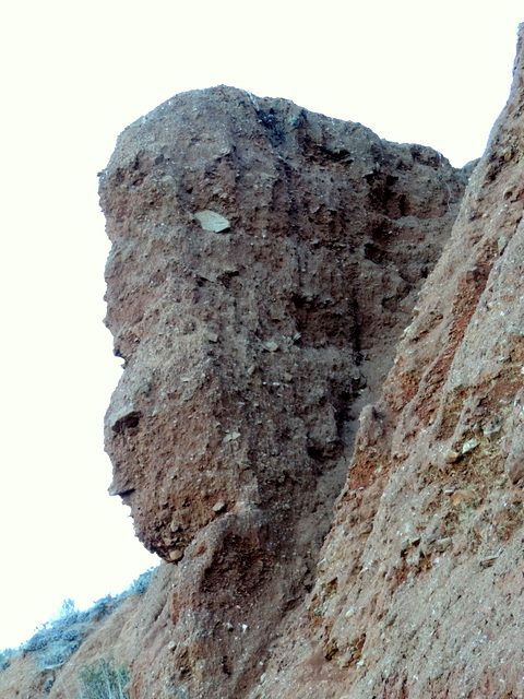 DSCN5184.JPG