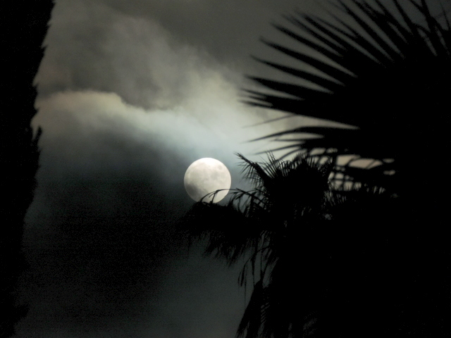 DSCN5192.JPG