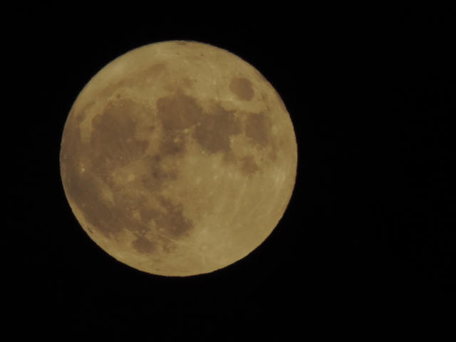 DSCN5197.JPG