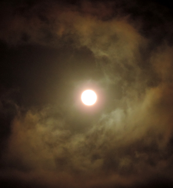 DSCN5205.JPG