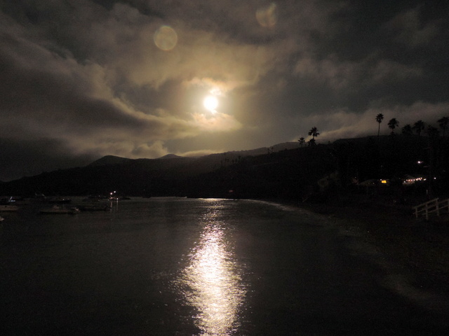 DSCN5230.JPG