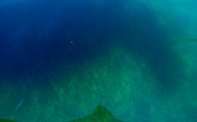 DSCN5248.JPG